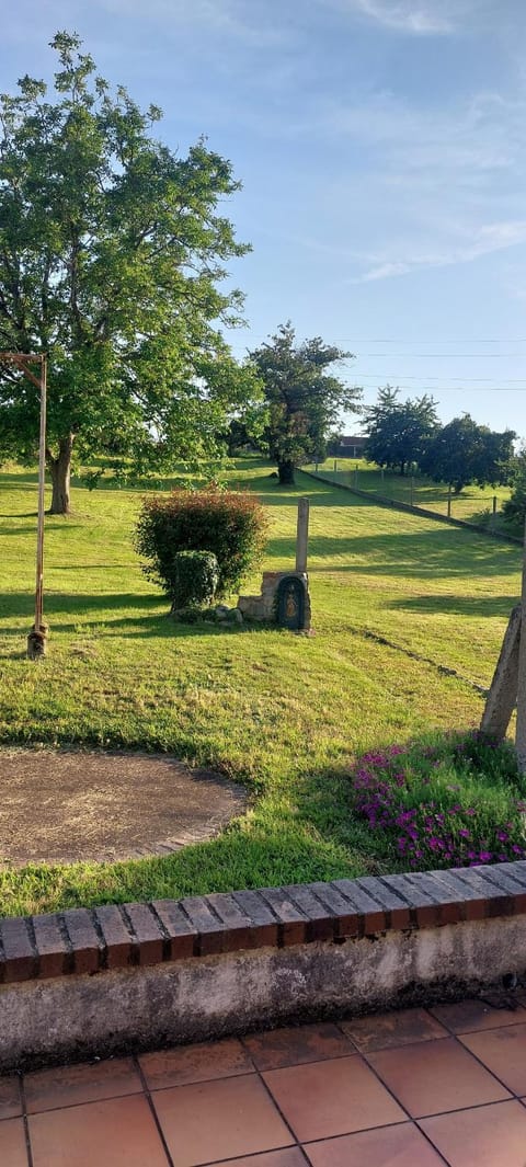 Patio, Garden