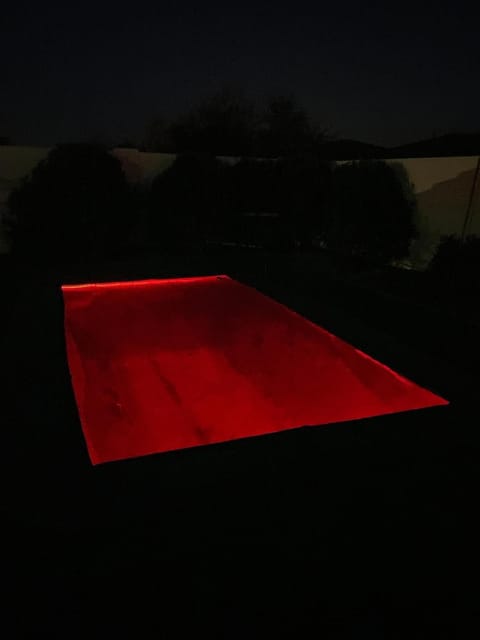 Modern Oasis House in Casa Grande