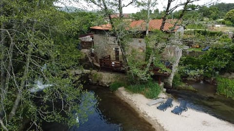 Natural landscape, River view
