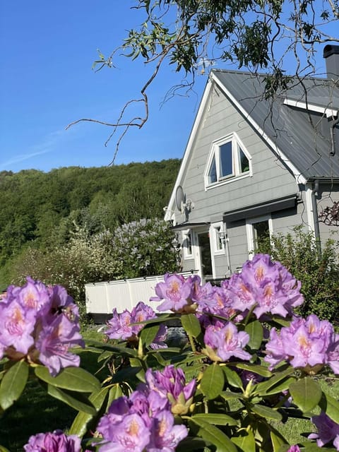 Property building, Spring, Garden, Garden view