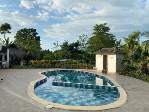Garden, Garden view, Pool view, Swimming pool