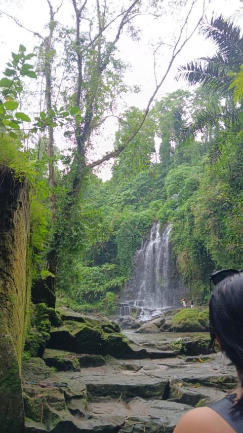 Kelle Homestay Vacation rental in Sidemen