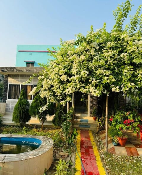 Facade/entrance, Garden, Garden view