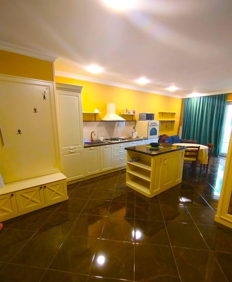 Kitchen or kitchenette, minibar, oven, stove
