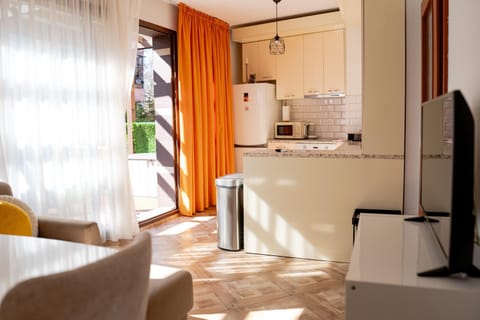 Coffee/tea facilities, Kitchen or kitchenette, Living room, Dining area, minibar, oven, stove, toaster