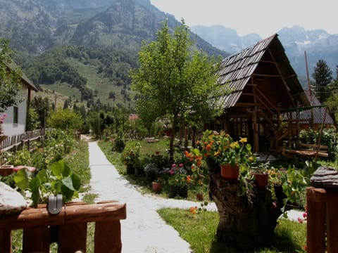 View (from property/room)