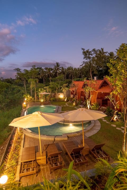 Natural landscape, Garden, Garden view, Pool view, Swimming pool, sunbed