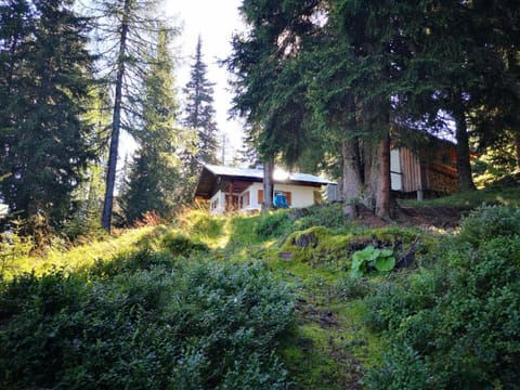 Property building, Natural landscape
