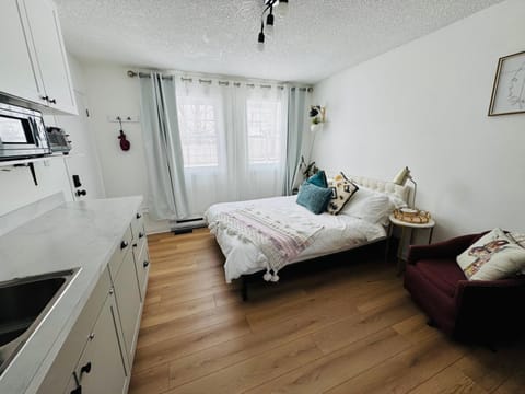 Bed, Kitchen or kitchenette, Photo of the whole room, Seating area, Bedroom