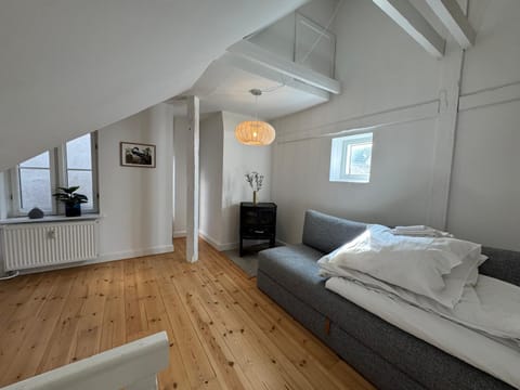 Kattesundet Apartments Best Location in Copenhagen Apartment in Copenhagen