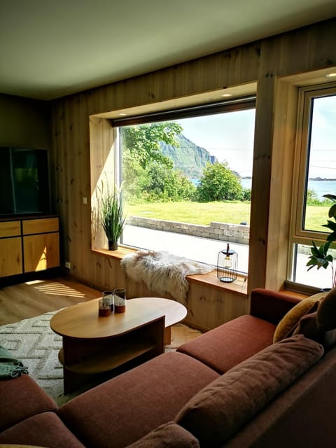 Natural landscape, TV and multimedia, Living room