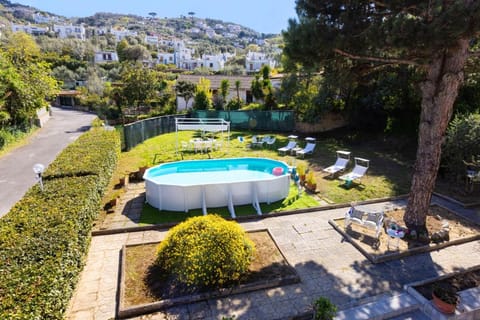 Natural landscape, Garden view, Pool view