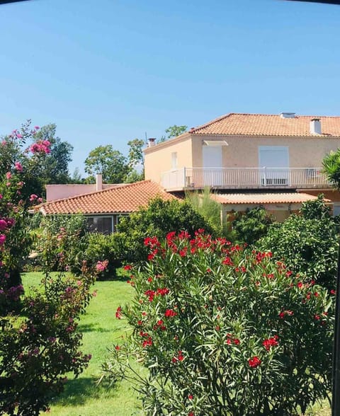 Property building, Garden view