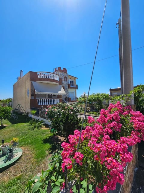 Property building, Day, Garden, Garden view