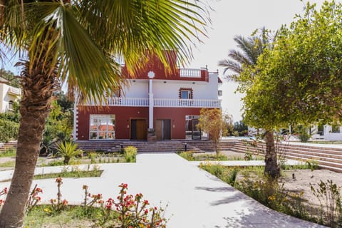 Garden, Garden, Garden view