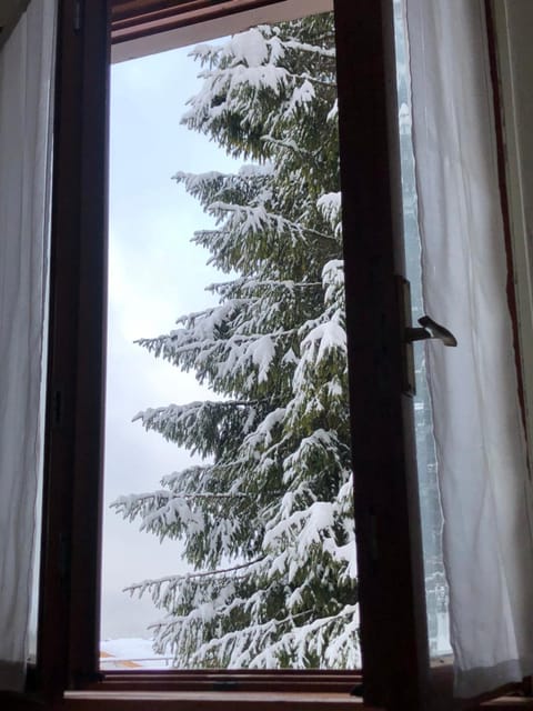 Natural landscape, Winter