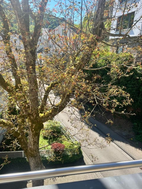 View (from property/room), Quiet street view