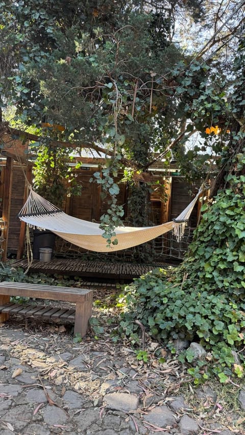 Day, Garden, Garden view