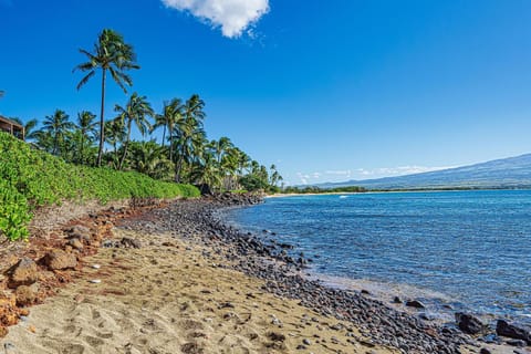 Island Sands 500, Breathtaking Ocean Views, Spacious Lanais, Renovated, Split AC House in Maalaea