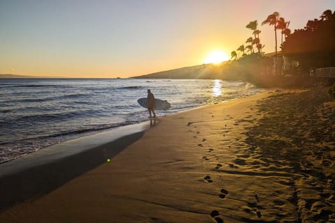 Lauloa 410 - Top Floor, Direct Ocean Front, Stunning Renovation, Wi-Fi, Split AC House in Maalaea