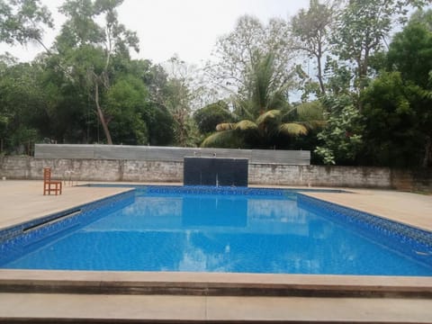 Day, Pool view, Swimming pool, Swimming pool