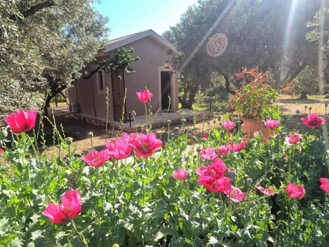 Spring, Day, Natural landscape, Garden, Garden view