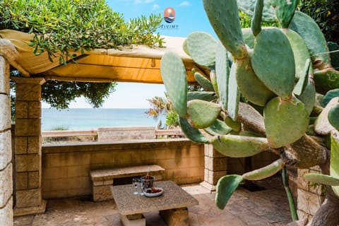 Villa Mara by Vivimy Villa in Torre San Giovanni