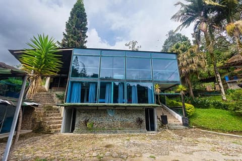 Property building, Spring, Day, Garden, Garden view