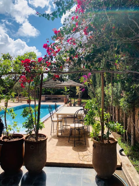 Patio, Swimming pool, sunbed