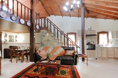 Dimi House Tripotamos House in Halkidiki