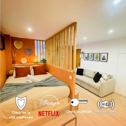 La Demeure des Troubadours - Hyper centre Apartment in Île-de-France