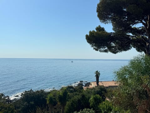 Sea view