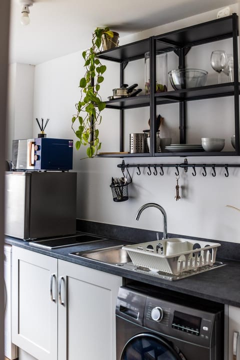 Kitchen or kitchenette, dishwasher, stove