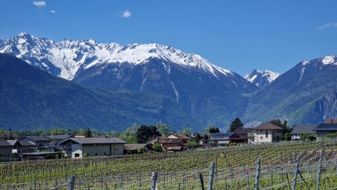 BeauLieu Apartment in Canton of Valais