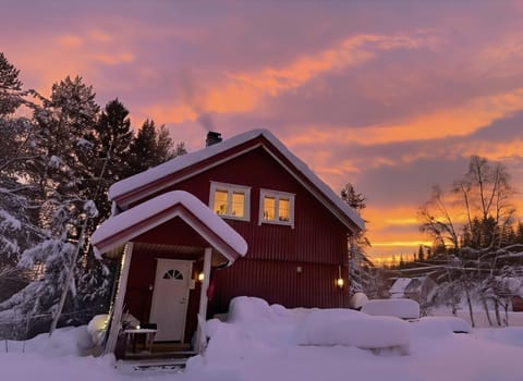 Facade/entrance, Natural landscape, Winter, Sunset, heating