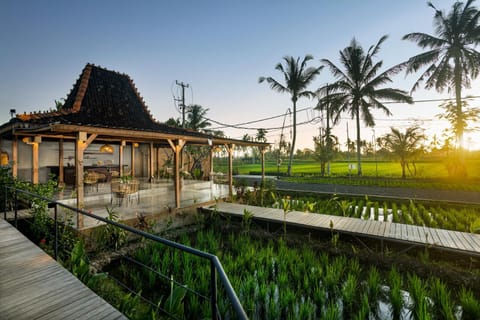 Restaurant/places to eat, Natural landscape