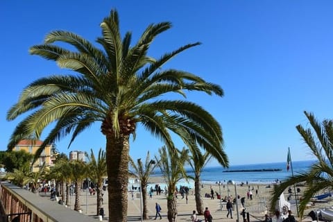 Spring, Sea view