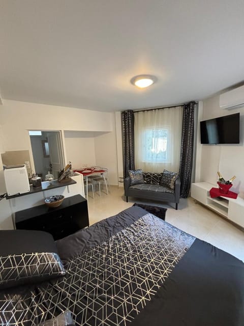 Communal lounge/ TV room, TV and multimedia, Kitchen or kitchenette, Photo of the whole room, Bedroom