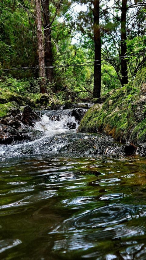River view