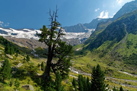 Nearby landmark, Staff, Day, Natural landscape, Summer, Mountain view