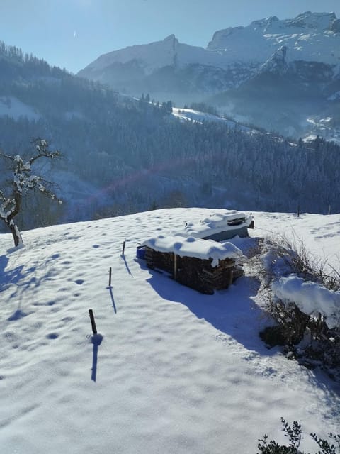 Natural landscape, Winter, Mountain view