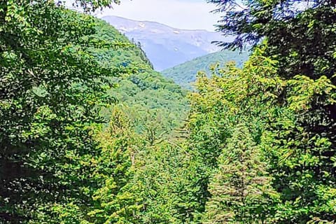 Mountainview Retreat Chalet in Glen