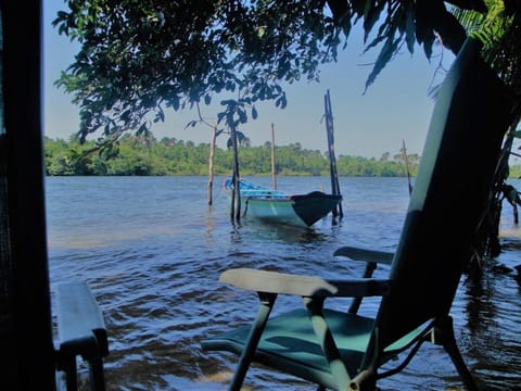 Natural landscape, Activities, Garden, River view