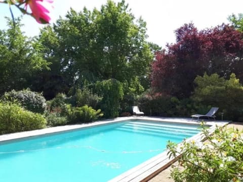 Garden, Garden view, Pool view, Swimming pool