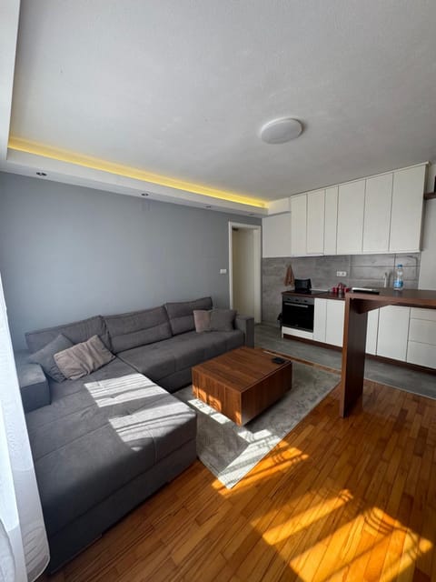 Kitchen or kitchenette, Living room, Seating area, oven