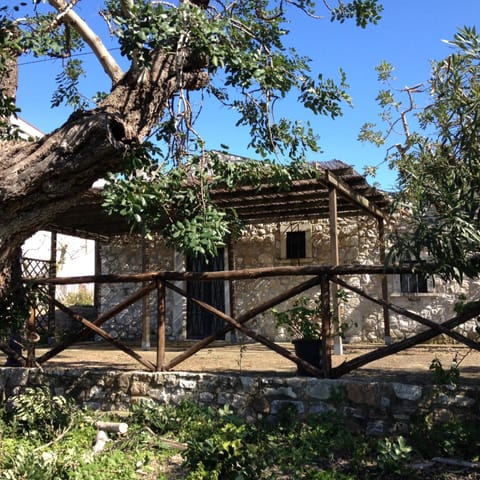 Property building, Garden view