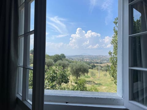 View (from property/room)