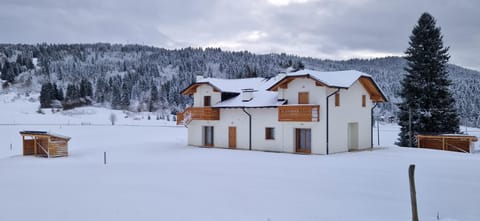 Property building, Natural landscape, Winter
