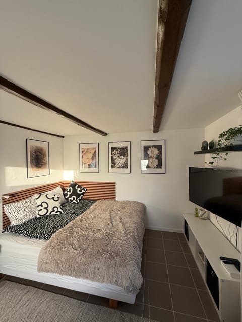 Bed, TV and multimedia