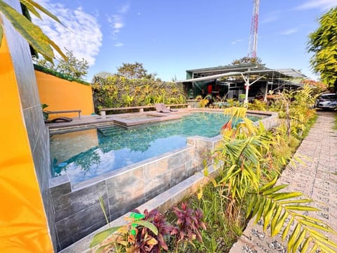 Garden, Pool view, Swimming pool